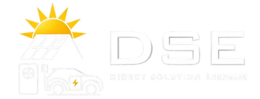 logo DSE blanc et jaune